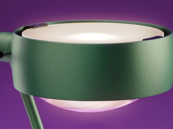 Green Sento head on purple background