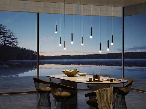 Coro moon spider über Esstisch