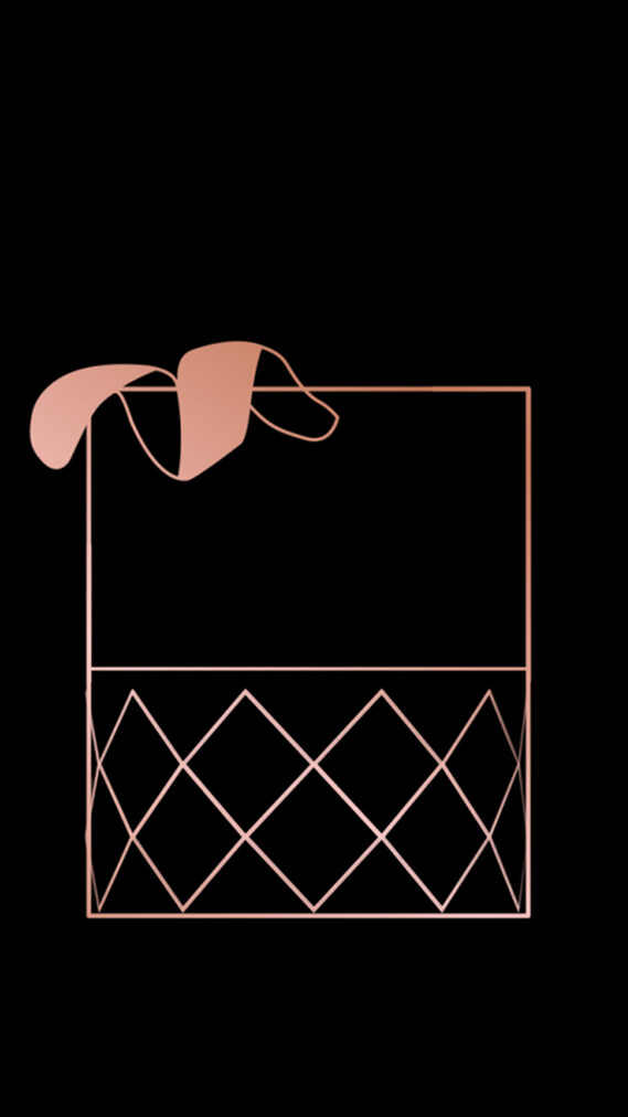 Negroni Cocktail